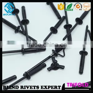 HIGH QUALITY FACTORY BLACK OXIDATION COLOR LSR/LS RIVETS FOR GLASS CURTAIN WALL thumbnail-5