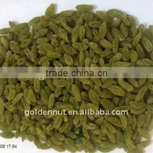 Green Raisin 2014new Crop thumbnail-1
