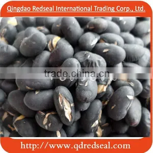 Roasted Black Bean thumbnail-1