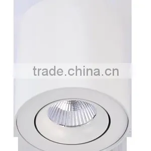 Modern White Adjustable Surface Mounted Ceiling Light thumbnail-2