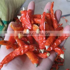 Pepper Stem Removing Machine|dry or Fresh Pepper Stem Cutter Machine|dry Chili Stem Cutting Machine thumbnail-1