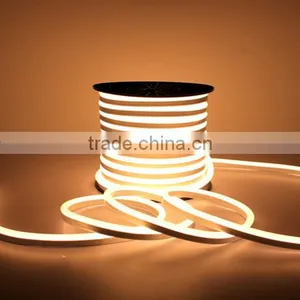 2700K Led Neon 240V 120V 24V 12V thumbnail-4