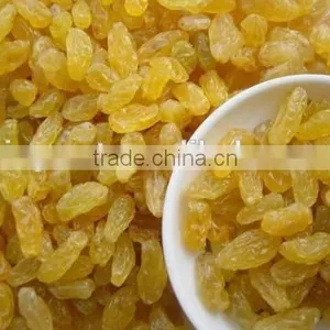 Chinese Dried Golden Raisins With Best Price thumbnail-3