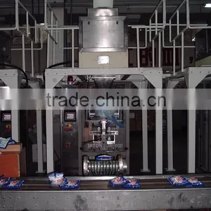 Pillow Bag Packing Machine for Washing Powder thumbnail-6