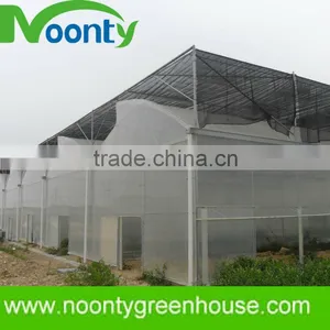 Greenhouses for Roses thumbnail-1