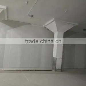 Cold Storage Room With Storage Racks Inside thumbnail-2