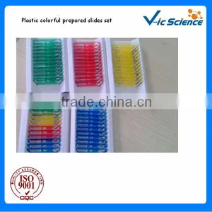 Hot Sale 12 Mixed Plastic Prepared Slides Set thumbnail-1