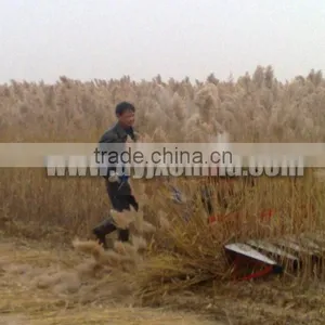 Whoelsale Reaper, Harvester, Rice, Wheat, Soy Bean, Corn, Grain Harvester thumbnail-2