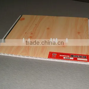 Economic Ceiling thumbnail-1