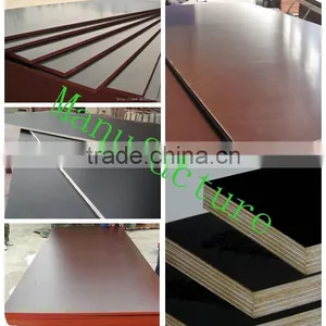 Shandong Multi Wood Sheets With Best Quality thumbnail-1