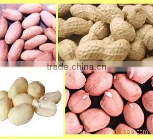 High Demand Export Products Wholesale Peanuts Raw Peanuts Price and Blanched Peanuts Kernel thumbnail-3