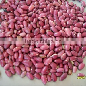 2016 New Crop Red Bean thumbnail-1
