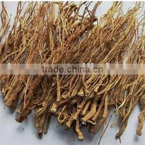 Organic Burdock Root Slice thumbnail-1