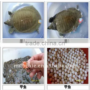 2011 Best Sale Instrument for Processing Animals Meal With High Efficiency thumbnail-1