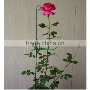 Metal Plant Support Loop Stake Stick thumbnail-5
