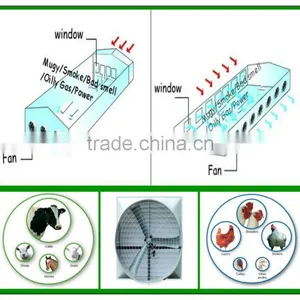 Industrial Centrifugal Blowers and Fans thumbnail-1