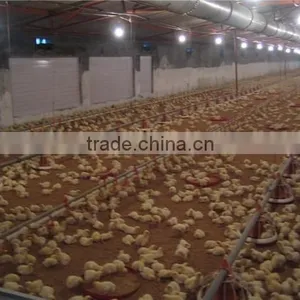 Chicken Feed Pan System for Broiler thumbnail-1