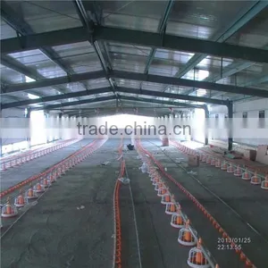 Automatic Broiler Poultry Equipment thumbnail-3