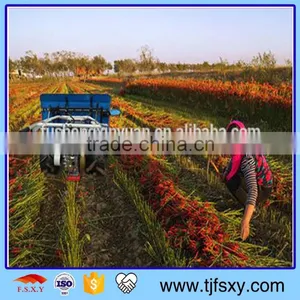 4GL-90 Hand Pulling Mini Pepper Harvester thumbnail-1