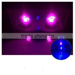 UV Light Lamp Malaysia Greenhouse Horticulture Used LED Grow Light thumbnail-6