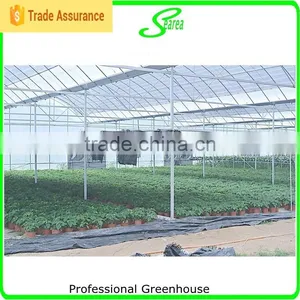 Agricultural Used Greenhouse Manufacturer thumbnail-6