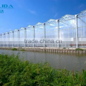 Baolida Greenhouse Restaurant Polycarbonate PC Sheet Multi-span Greenhouse thumbnail-3