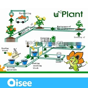 Hydroponic Planting Set for Kids Learning- Biology Lab Kit thumbnail-6