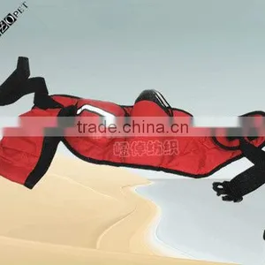 Travel/Train Pet Bag thumbnail-1