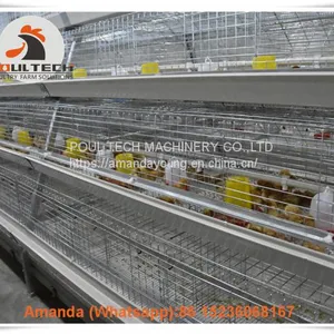 Laos Poultry Farming Baby Chick Cage & A Frame Automatic Small Chicken Cage & Pullet Coop Used in Chicken Shed thumbnail-2