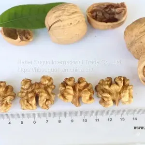 Northern Walnut Kernel & Whole Half Walnut Kernel & Balanced Walnut Kernel thumbnail-1