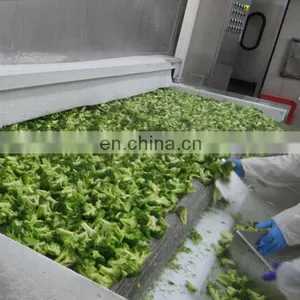 2-4cm 3-5cm 4-6cm Frozen Halal Food IQF Broccoli Cut thumbnail-4