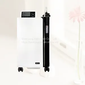 Home Use Oxygen Concentrator Price Factory Oxygen Generator thumbnail-1
