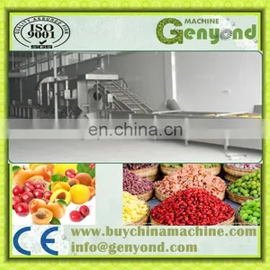 Hot Sale Fruit Drying Line for Dehydrated Fruit thumbnail-2