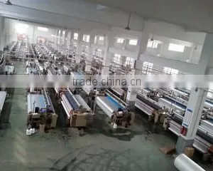 Changxing Hongyue Textile Co., Ltd. company overview - view 1 thumbnail