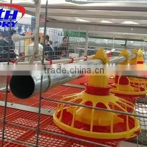Best Quality Automatic Poultry Feeder and Drinker Poultry Farming Equipment for Sale in UAE thumbnail-3