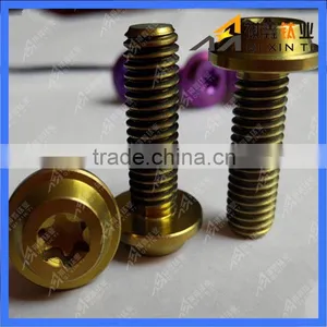 DIN Gr2 Gr5 m3 Titanium Screw thumbnail-1
