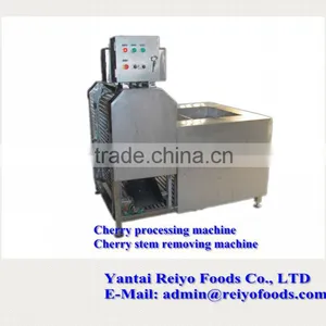 Fruit Stem Removing Machine / Chilli Stem Removing Machine thumbnail-6