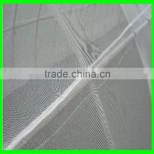 Leaf Minder Net , Anti Insect Net thumbnail-5