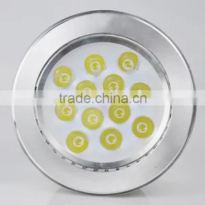 LED Ceiling Light Ceiling Lighting Silver Ceiling Light Led High Power 12w Led Ceiling Light 2700k-6500k thumbnail-2
