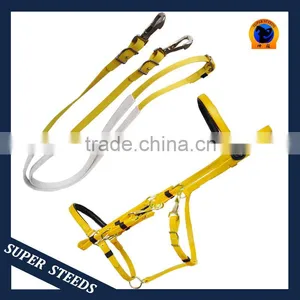 Pvc Rubber Reins And Halter thumbnail-1