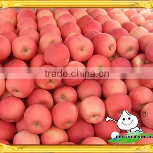 Red Fresh Fuji Apple Low Price/Chinese Red Fuji Apple/Fresh Red Sweet Apple thumbnail-1