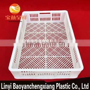 605x420x130mm Plastic Moving Crate Sale for Turnover Chick Duckling Transportation thumbnail-3
