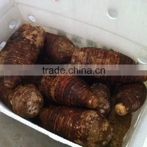 Fresh Chinese Taro for Sale thumbnail-3