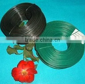 PVC Coated Wire (professional Manufacturer) thumbnail-1