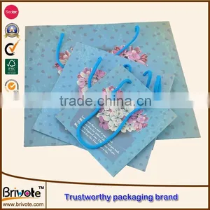 Gift Bag Paper/Paper Bag/Paper Bag for Shopping thumbnail-4