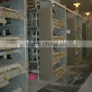 Manure Removal System thumbnail-1
