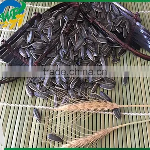 Sunflower Seeds 3638 thumbnail-3