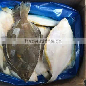 2016 China Top Quality Frozen Gold Plaice 200g-300g thumbnail-2