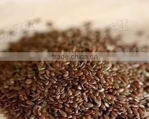 High Quality Linseed Oil Manufacturer/softgel GMP Factory thumbnail-3