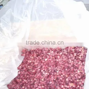Frozen Pomegranate thumbnail-1